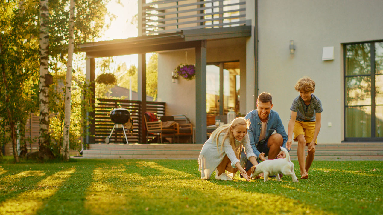 Smiling Father, Mother and Son Pet and Play with Smooth Fox Terrier Retriever Dog. Sun Shines on Idyllic Happy Family with Loyal Pedigree Dog have Fun at the Idyllic Suburban House Backyard